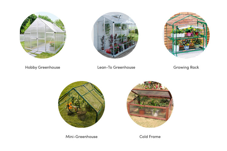 What Is a Greenhouse? Wayfair